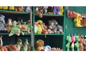 Stuffed animals sitting on green shelves like dinosaurs and cheetahs. Some stuffed animals are hanging on a nearby wall.