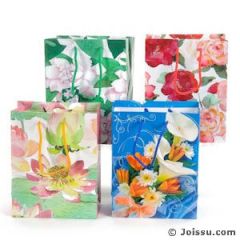 Assorted Floral Design Gift Bags - Large 18-115